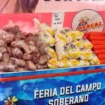 Proyecto-nuevo-89